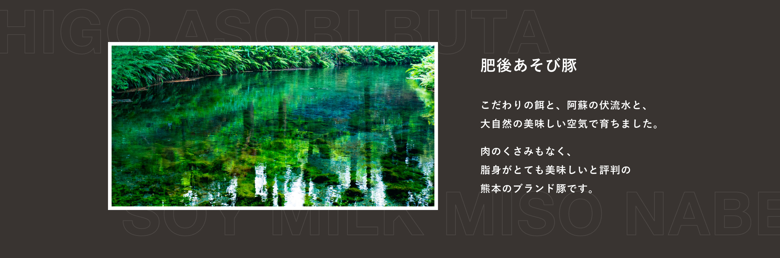 ［肥後あそび豚］こだわりの餌と、阿蘇の伏流水と、大自然の美味しい空気で育ちました。肉のくさみもなく、脂身がとても美味しいと評判の熊本のブランド豚です。